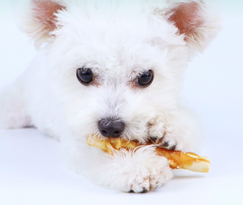 Guloseimas de frango com carne seca para cachorro