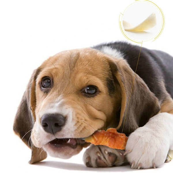 Rawhide Dog Treats Manufacturer