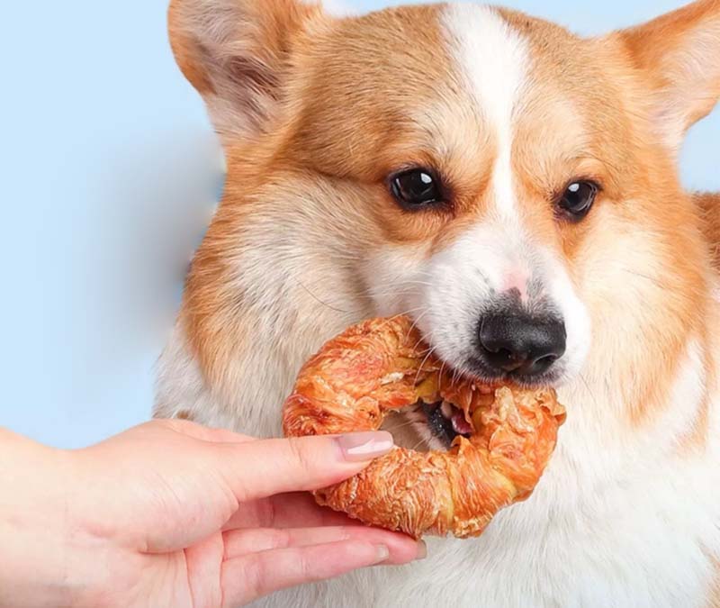 Wholesale True Chews Dog Treats