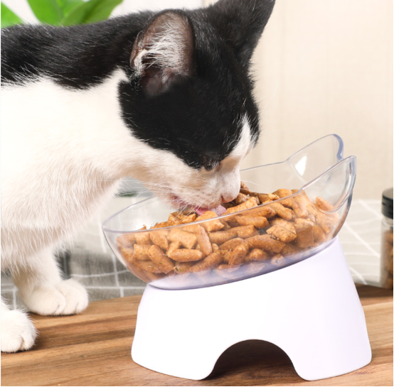 Leading Dog And Cat Snack Manufacturer (1)