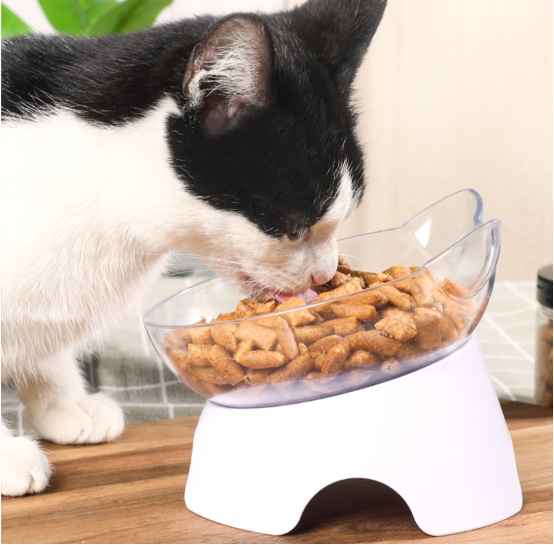 Principale produttore di snack per cani e gatti (1)