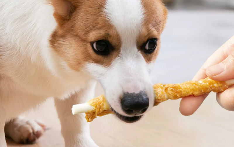 High Protein Dog Treats Suppliers